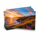 5×7 Postcard
